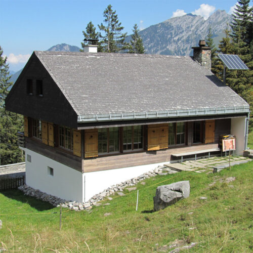 Staging – Bergheim Wildgrimmi